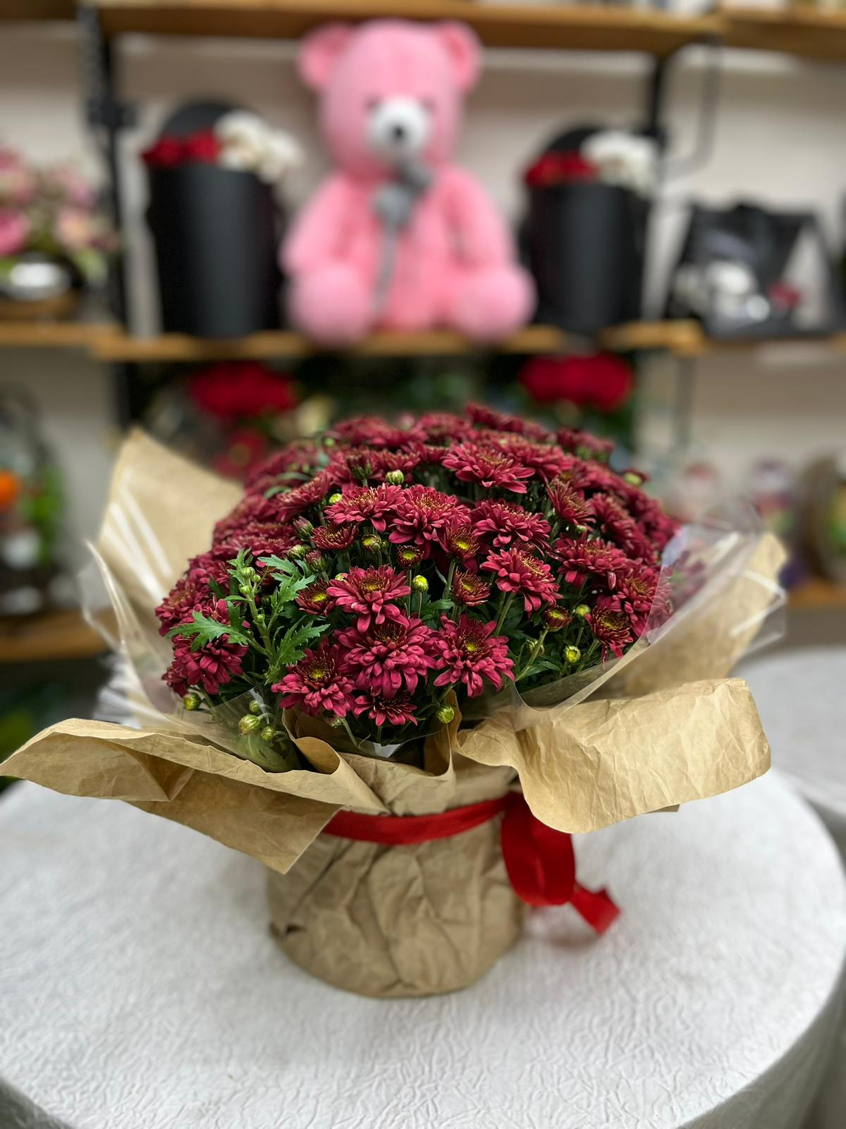 Kasım Ayı Çiçeği Kasımpatı