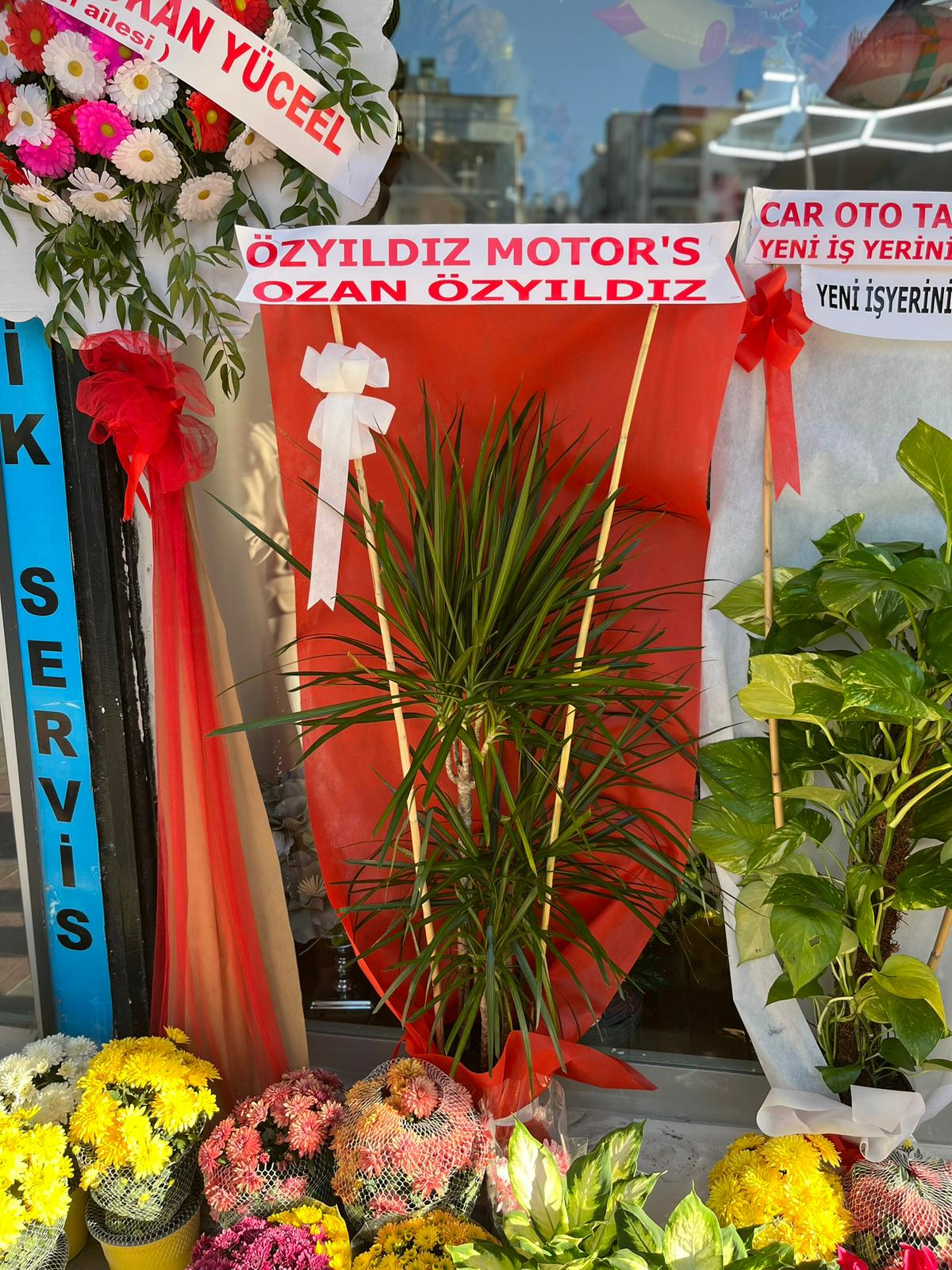 Açılış Çiçeği