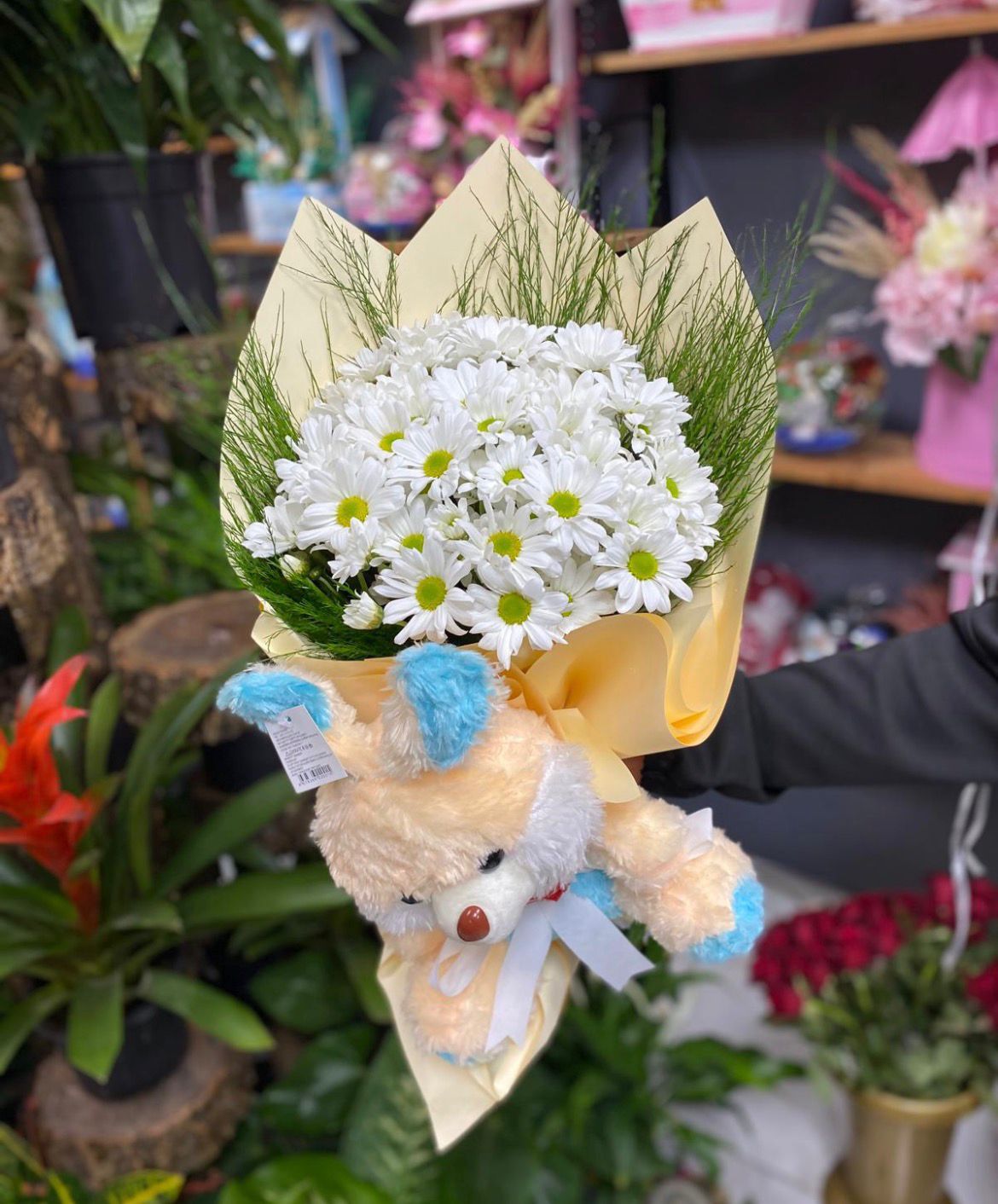 Papatya ve Sevimli Tavşan