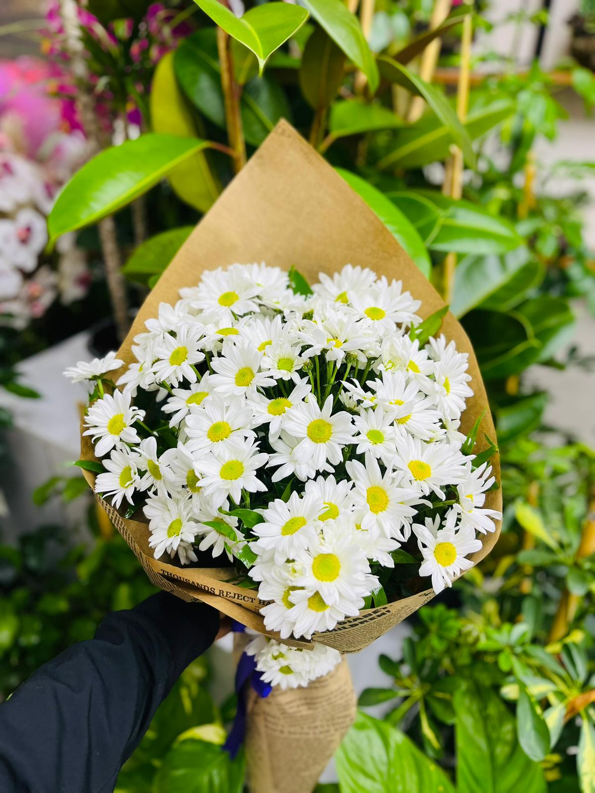 Beyaz Papatya buketi